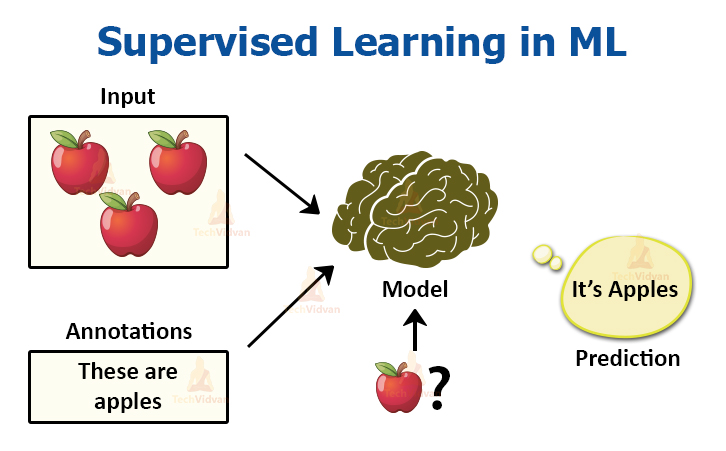 1-ph-n-lo-i-c-c-thu-t-to-n-machine-learning-quy-s-blog